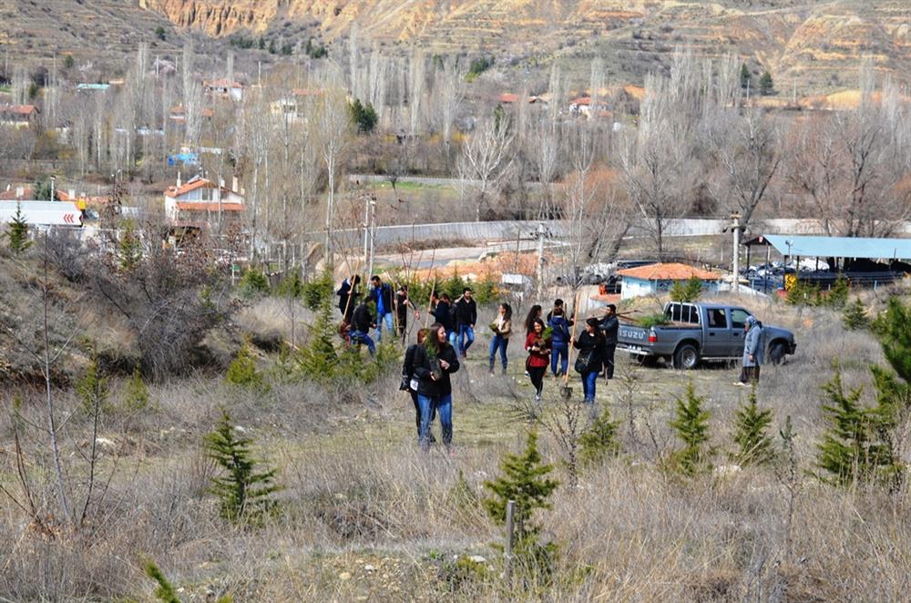 21 Mart Dünya Ormancılık Günü Kutlandı