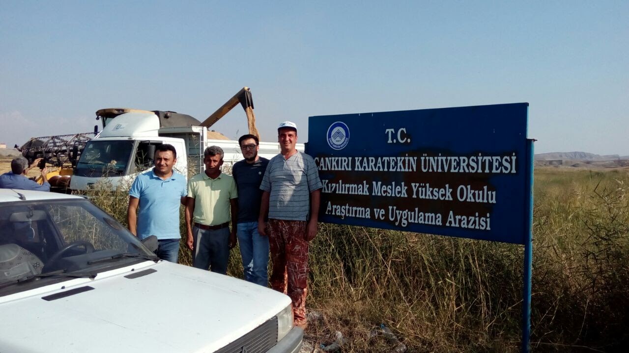 Kızılırmak Meslek Yüksekokulunda Çeltik Hasadı Gerçekleştirildi.