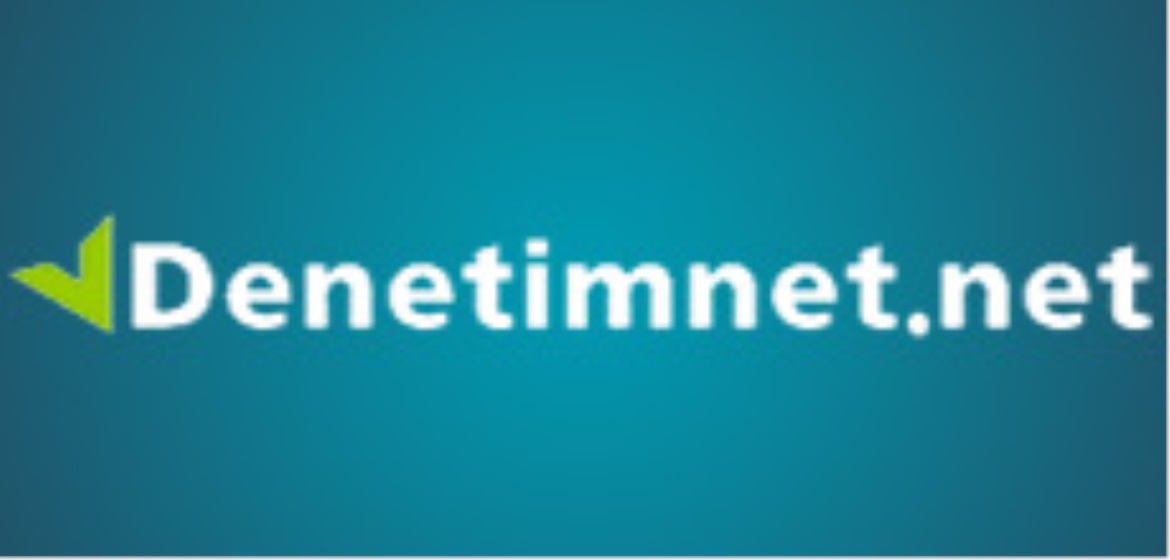 Denetimnet